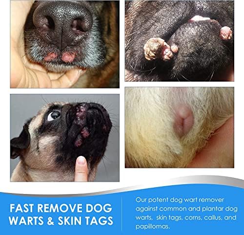 Removedor de verruga para cães, tratamento de remoção de verruga natural, sem danos e sem dor eliminar rapidamente verrugas de cachorro