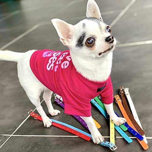 Camisa de cachorro Ollypet Small puppy camiseta fofa vestido rosa choque