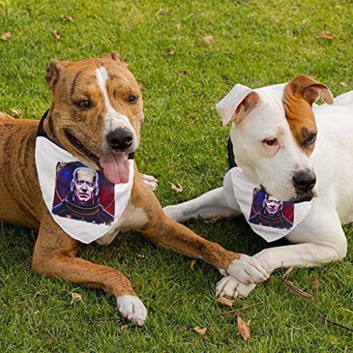 Joe Biden Pop Art Pet Bandana Collar - colar de cachorro colorido - Bandana de cachorro impresso - S