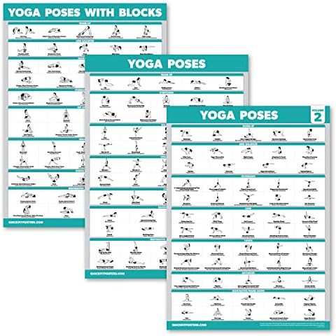 Palace Learning 3 Pack - Yoga Poses Volume 1 e 2 + Posições de ioga com bloco de ioga - Posição de ioga para iniciantes