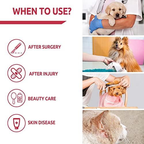 AoFitee Dog Cone Collar Gollar e protetora Cola de recuperação de cães E-colar de rosca de pescoço de estimação após