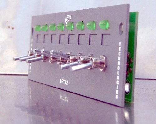Módulo de chave/indicador de alternância GF-T8-2
