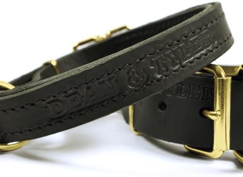 Dean e Tyler Strictly Business Dog Collar - Hardware de latão sólido - preto - tamanho 26 x 1. Se encaixa no tamanho do pescoço