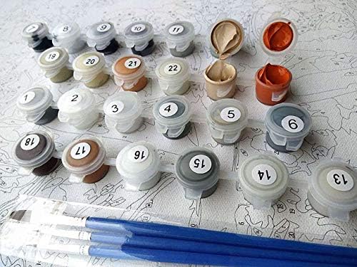 Kit de pintura a óleo de diy por kit de números, tinta por números desenhando pincéis tinta, adequada para todos os níveis de habilidade