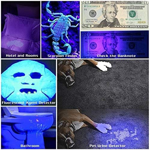 Raincol UV Blacklight lanterna, Super Bright 100 LED LED PET DOG CAT Detector de urina Lanterna leve para manchas de urina