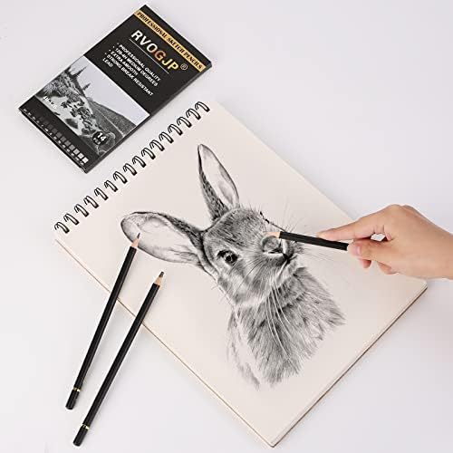 RVOGJP PROFISSIONAL DE DESPENHO DE LAPINIS DE SKETHING - Lápis de esboço de desenho à arte de 14 pack, lápis de grafite,