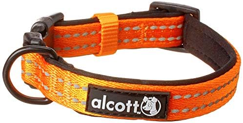 Alcott Visibility Dog Collar com costura reflexiva e preenchimento de neoprene, pequeno, laranja neon