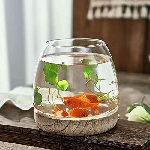 Aquário de tanque de peixe pequeno betta com espessura de madeira de madeira de vidro Terrarium Flor Planter hidropônico