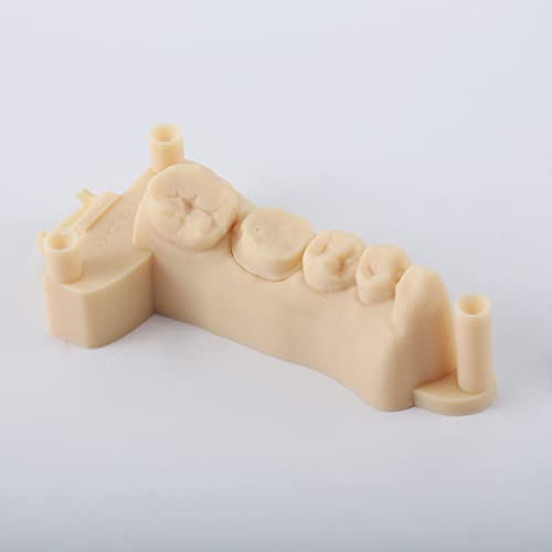 Resina 3D Resina da impressora, resina de modelo dental D01S para modelos de estudo de implante de restauração de alta precisão dimensional