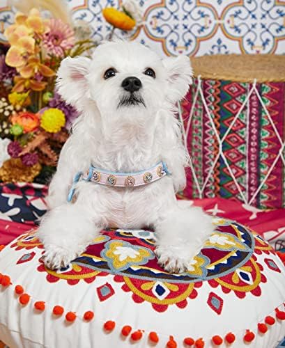 Arnês de cães, arkika moda dupla cor correspondente pu material cão arnês para samll cães royal azul l