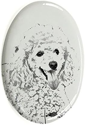 Poodle, lápide oval de azulejo de cerâmica com a imagem de um cachorro