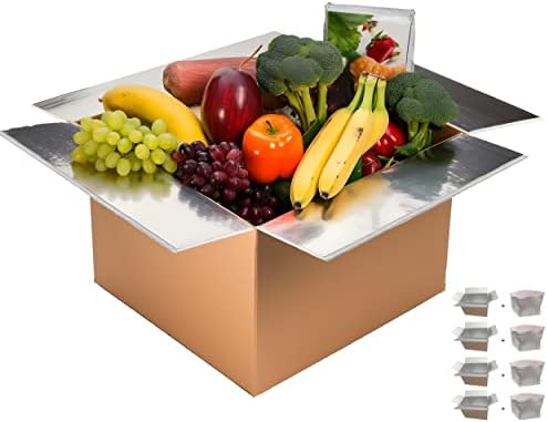 Friomex Thermo Chill Caixa de remessa isolada dupla com revestimento de alumínio - caixas de remessa fria para comida congelada
