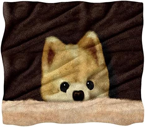 Cobertor macio, cobertor de soneca, cobertores macios e macios e macios, animal de desenho animado de cães de estimação