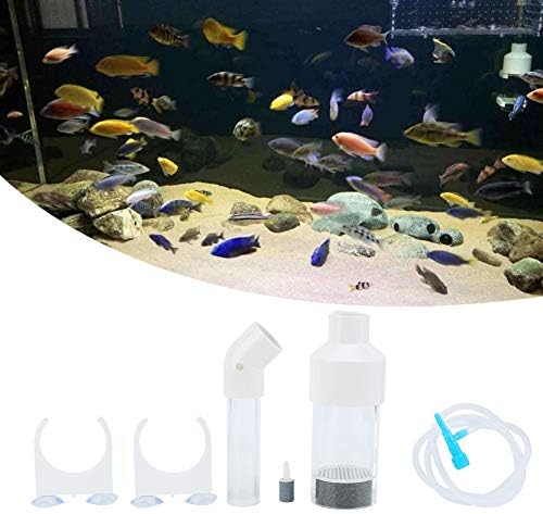 Incubadora de ovo de peixe heepdd, ciclídeos aquários de 50 mm Caixa de criação de peixe de incubatório de peixe para tanques