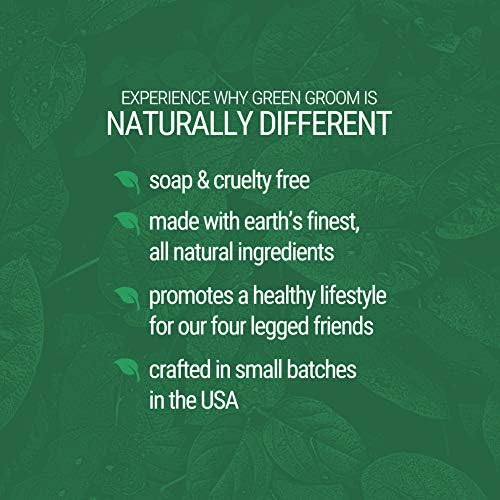 Green Green Green Clean Dog Shampoo, 1 galão - Ingredientes à base de plantas, 50: 1 concentrado, hidrata a pele sensível à coceira seca, rica em antioxidantes, grau profissional