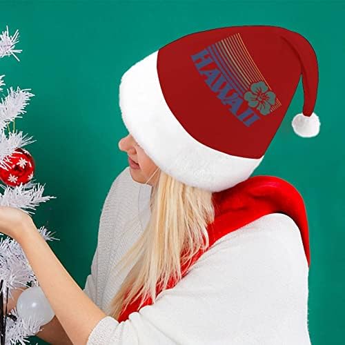 Hawaii Plush Christmas Hat Chat