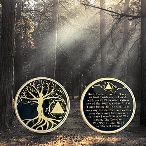 1 ano de chip de sobriedade | Moedas AA e medalhões | Presentes de sobriedade da Árvore de Recuperação da Árvore da Vida