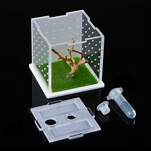 Caixa de criação de acrílico de aranha, terrário transparente de tarântula, caixa de alimentação de aranha saltada, gaiola de recipiente