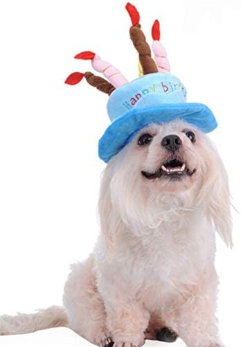 Cachorro gato bolo de aniversário chapéu de gorro de casca de animal de estimação design azul