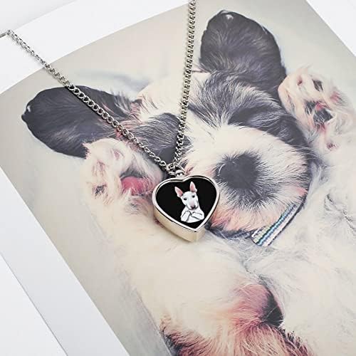 Dog Bull Terrier com colar de urna de estimação do dedo médio para cães gatos cinzas pingente memorial jóias para homens