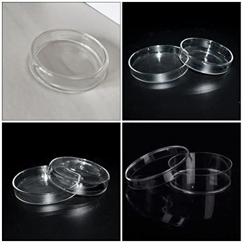 Recipiente de vidro de cabilock 2pcs Petri Patri com tampa de vidro transparente Petri Petri Petri Plant Plant Tissue