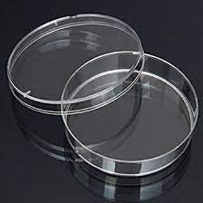 Rawal Borossilicate Glass Petri Dish 75mm