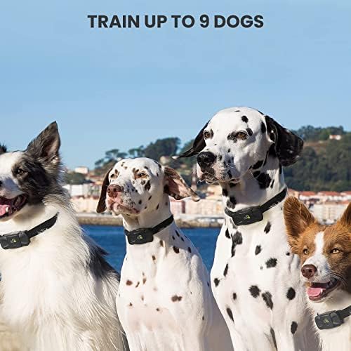 Cola de choque de cães com cães com colares remotos de treinamento para cães com 3 modos, colar de cachorro eletrônico