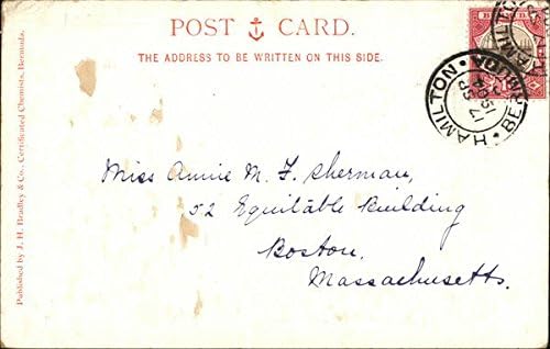 Victoria Park Hamilton, Bermuda Original Antique Postcard 1904