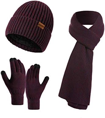 Honnesserry Winter Hats Sconha para homens com luvas de tela sensível