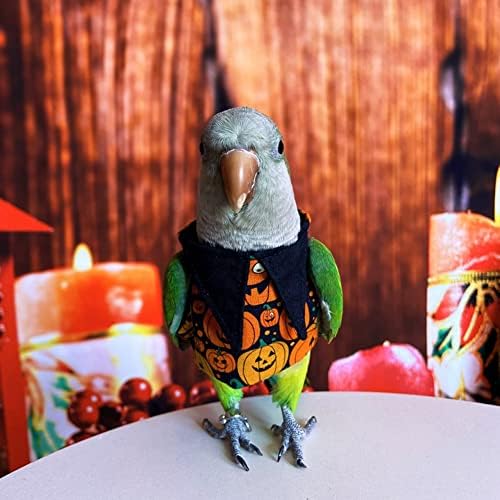 Roupas de pássaros - camisa de suéter de halloween de algodão artesanal com maiô de vôo de padrões de abóbora para papagaio africano cinza periquito cockatiel sol conure presente de aniversário parrot cosplay aparel pássaro suprimentos