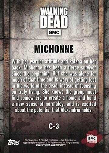 Topps Walking Dead Season 5 Perfis de caracteres Cartão de negociação C-3 Michonne