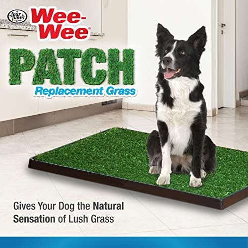 Quatro PAWS WEE-WEE-WEE PLATE Premium Indoor e Outdoor Pet Potty for Dogs L Dog Potty Training L Grass artificiais