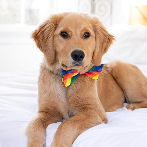 Huxley e Kent Bow Tie para animais de estimação | Igualdade | Acessório de colarinho de gravata borboleta de velcro