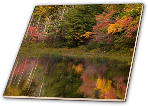 3drose New Jersey, Wharton State Forest. Lago e floresta no outono. - Azulejos