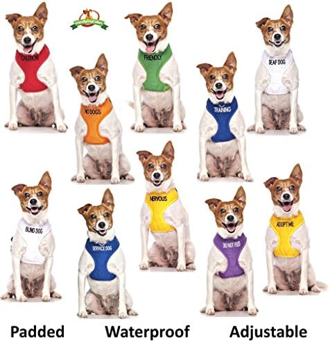 Dexil Friendly Green Dog Bandana Qualidade Personalizada Mensagem Bordada O acessório de moda de lenço de pescoço