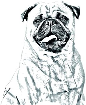 Pug, lápide oval de azulejo de cerâmica com uma imagem de um cachorro