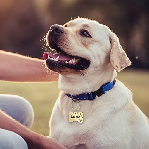 Tags de identificação personalizadas para animais de estimação personalizadas Jatebi, etiquetas de cães de aço inoxidável, ossos personalizados e nomes de cão gravado em forma de pata, etiqueta, endereço e telefone, personalizados de ambos os lados