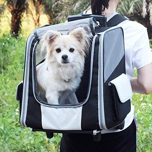 N/A Backpack portátil de viagem de estimação de animais de estimação, design de espuma da cápsula espacial e mochila de
