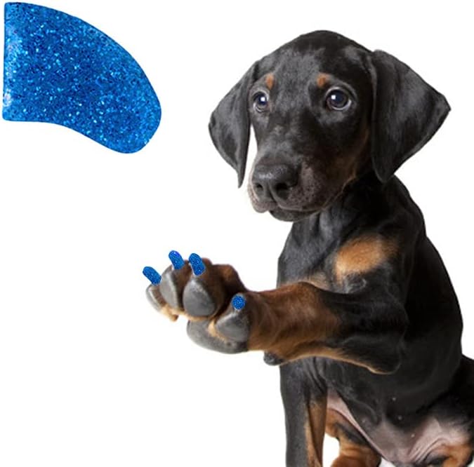 Garras bonitas 1 ano fornecem tampas de unhas macias com adesivo para garras de cachorro - Sapphire glitter X -Large