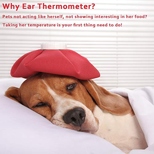Monitor de temperatura da orelha de gato e cão, apenas termômetro de animais de estimação, monitor de temperatura da orelha de cães