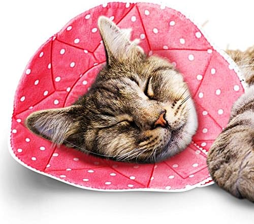 SunGrow Cat Cone Collar lavável macio, recuperação de gato e cone de sono de colarinho após a cirurgia para parar de lamber,