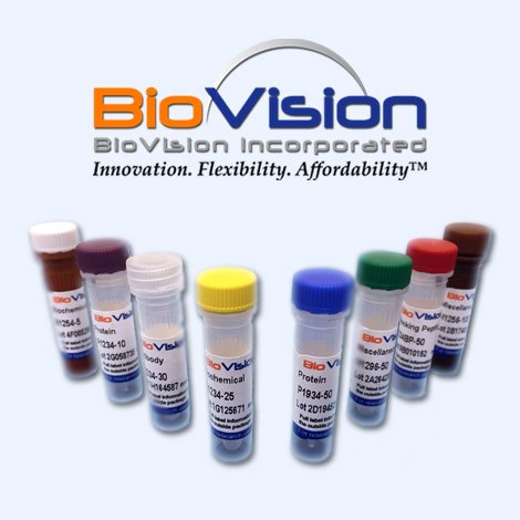 Biovision Galectin-7, Human Recombinant, 4647-10