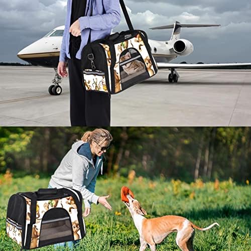Portador de animais de estimação, transportadora de gatos, transportadora de cães, transportadora de cães para cães médios, padrão de banana de frutas de fruta de macaco abstração