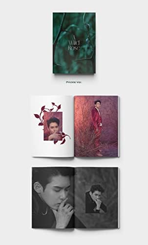 Brave Entertainment Ryeowook Super Junior - Um álbum de rosa selvagem+fotocards extras Conjunto de 150 x 210 mm