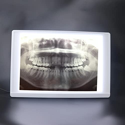 Caixa de raio-X do dentista iluminador Caixa de luz Panorama Painel de Luz do Visualizador de Filme de Raio X Panorama