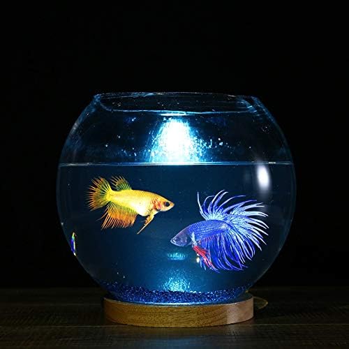 TJLSS Sala de estar criativa Pequena mesa de peixe com tanques de peixe redondo tanque de peixes Night Light Mini Aquarium Decoration