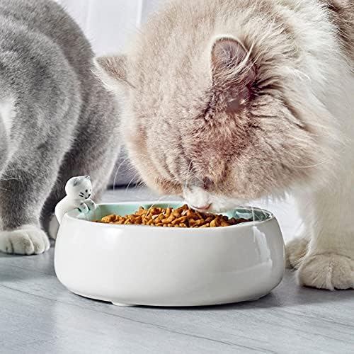 Tigela de cerâmica da tigela de alimentação lenta cpsun, adequada para gatos e cães, evita a capotamento, pode ser aquecida