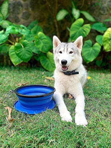 Xxl tigela de cachorro dobrável e 27 onças de pupflask garrafa de água portátil - azul