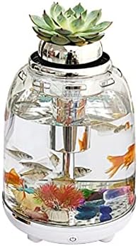 Dlvkhkl Aquarium Fish Tank 5.5L com filtro de energia iluminação led colorida transparente para acessórios de aquário