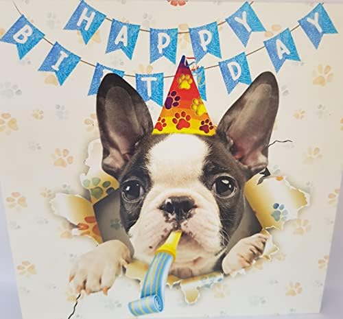 Boston Terrier Dog 3d Aniversário Funny Pop -up Cartões, Boston Terrier Dog Card, Feliz Aniversário Cartões adoráveis